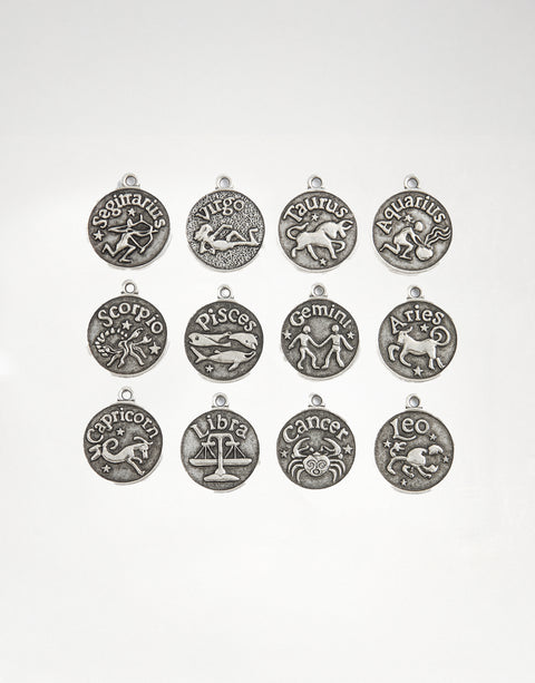 Zodiac Charms